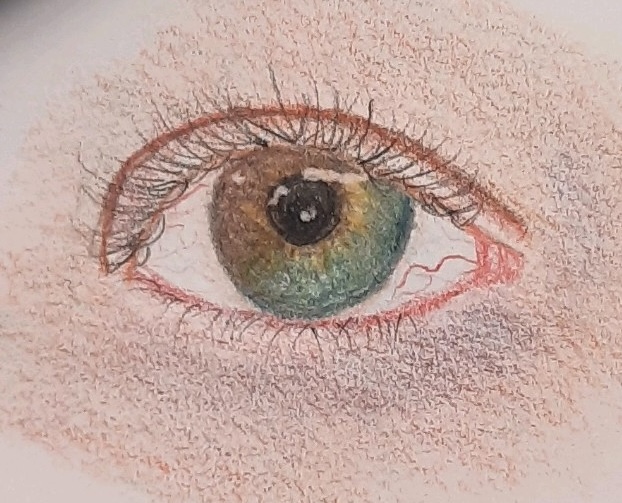 Right Eye Study