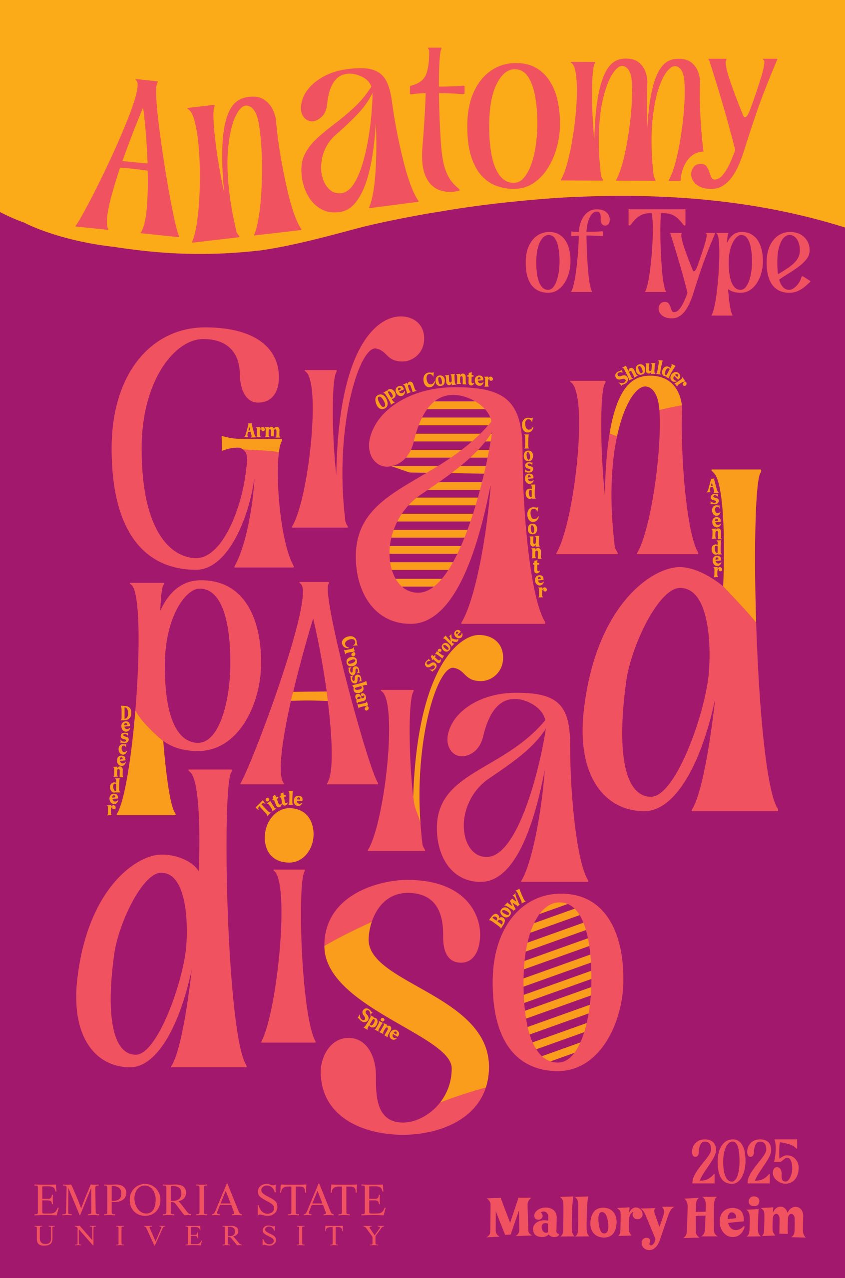 Anatomy of Type "Grand Paradiso"