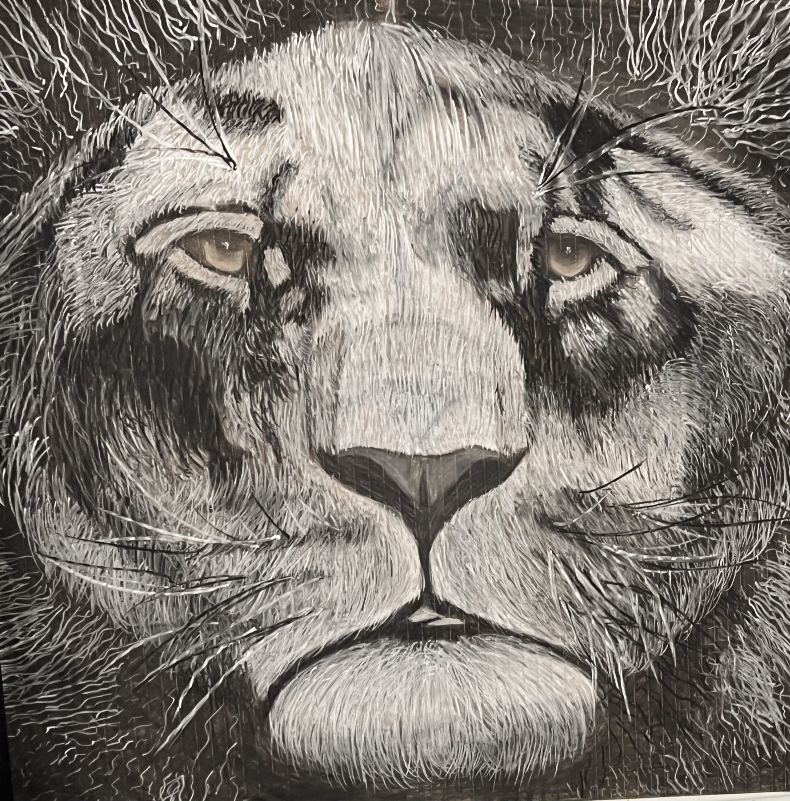 Drawing of an overweight lion