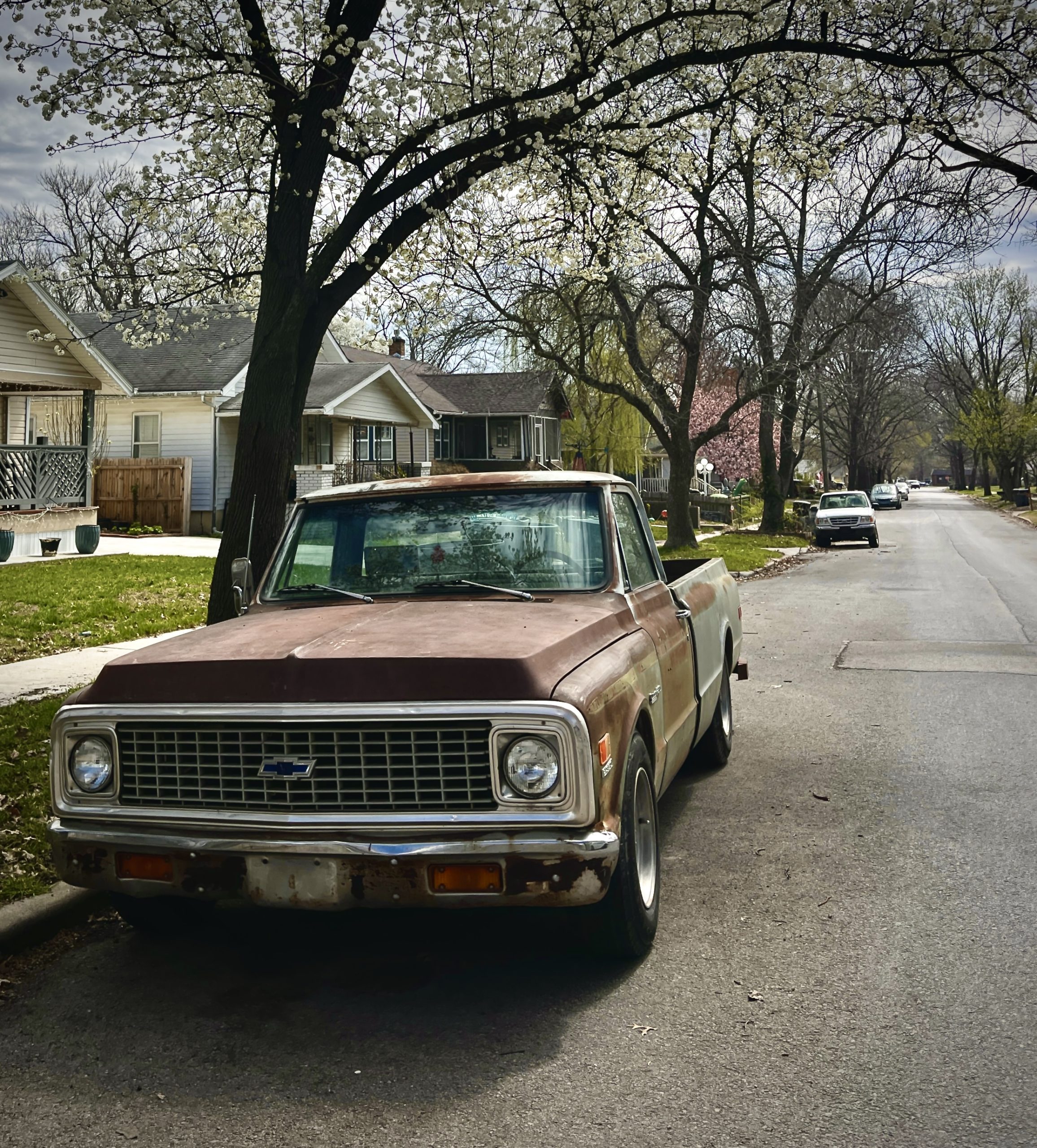 A Picture of a Car parked under a tree in a neighboorhood in spring