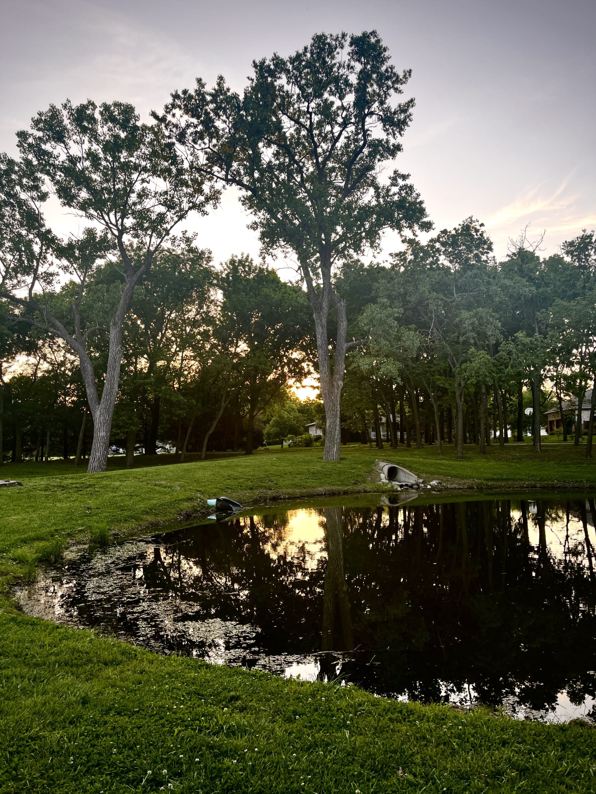 C of E Park at Sunset